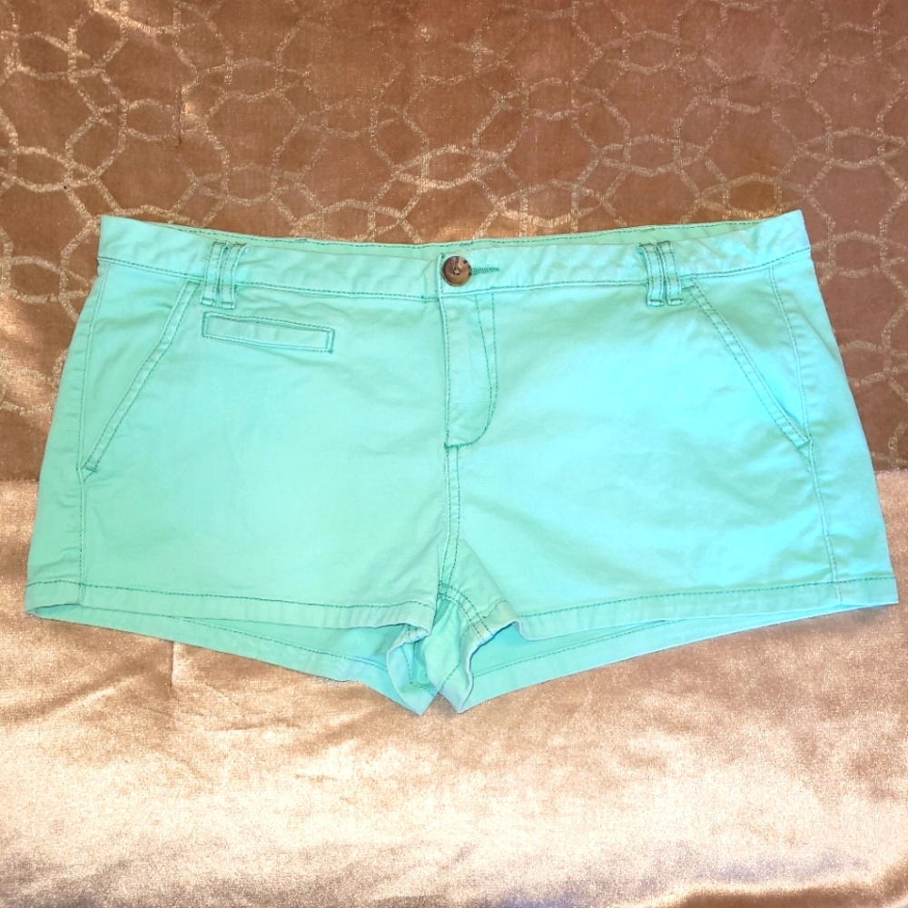 Express 2010s Mint Green Shorts